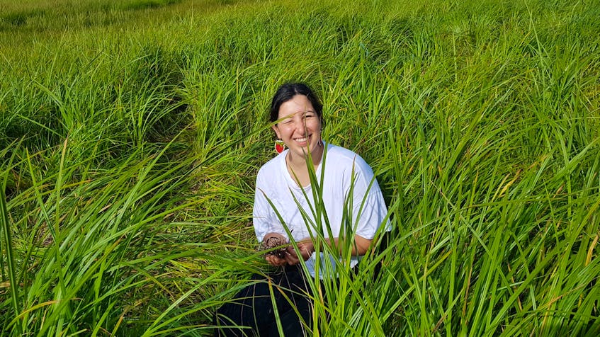 L'nuk connect with their culture, land through traditional Cape Breton  sweetgrass harvest