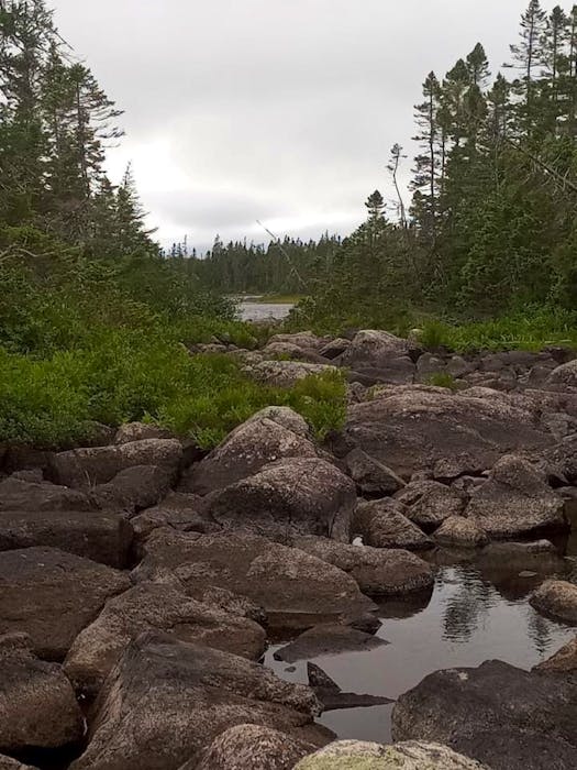 The Baie du Nord Wilderness Reserve is 2,895-square-kilometres of virtually untouched land in central Newfoundland. — Contributed