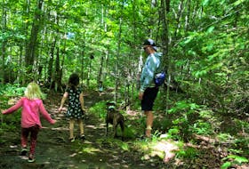 Hiking the Jodrey and Woodland trails at Blomidon Provincial Hike takes time and stamina, but it's do-able with kids, says Heather Fegan, who recently hiked the trails with her family and friends while camping.