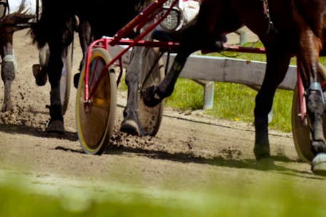 JM Sportsfan zooms In during Old Home Week harness racing card in Charlottetown