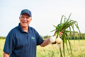 Scott Newcombe, onion manager at Country Magic, shows off the new crop of onions. The farm typically produces between 15 and 18 million pounds of onions each year, with the majority being sold in Atlantic Canada.