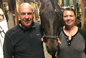 Colin Johnson, left, and Debbie Element pose with National Debt at their Charlottetown Driving Park stable. National Debt finished fourth in The Guardian Gold Cup and Saucer Trial 3 on Aug. 16 and did not qualify for the final on Aug. 21. Photo courtesy of Nicholas Oakes