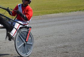David Dowling trains and drives Tobins Brownie. The three-year-old filly is looking for another impressive performance during Gold Cup Week harness racing at Red Shores Racetrack and Casino at the Charlottetown Driving Park on Aug. 20.