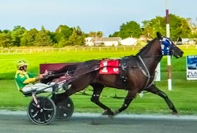 Southwind Ricardo and driver Greg Sparling were winners in 1:57.3 on Monday evening at Northside Downs in North Sydney. It was Southwind Ricardo’s fourth win in 10 starts. PHOTO CONTRIBUTED/TANYA ROMEO. 