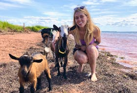 Prince Edward Island’s Activator says unique Island experiences, like hanging out with beach goats, make it the best place to be, regardless of the season. - Photo Contributed.