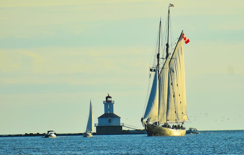 Bluenose II sailing past Indian Head Lighthouse. - Desiree Anstey