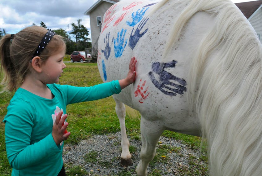 Four-and-a-half-year-old Erica Parsons of St. John’s, places her hand prints on Tinker, the 17-year-old Arabian Cross Spirit Horse that was owned by Alison (Aly) Walsh who lost her battle with mental illness eight years ago. The handprints are meant to symbolize that the life of Alison still lives on in humans with the touching of hands to the horse.
-Joe Gibbons/The Telegram
