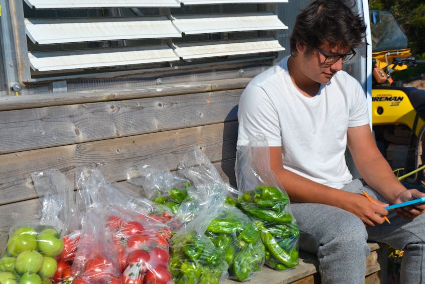 Sixteen-year-old Josh Martell, a summer student, sits just outside the greenhouse in Potlotek, bagging up vegetables and tracking inventory. ARDELLE REYNOLDS/CAPE BRETON POST