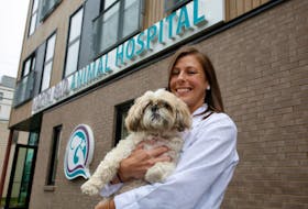 Dr. Kellie Haggett holds Juno, a patient at the newly opened North End Animal Hospital in Halifax. TIM KROCHAK PHOTO 