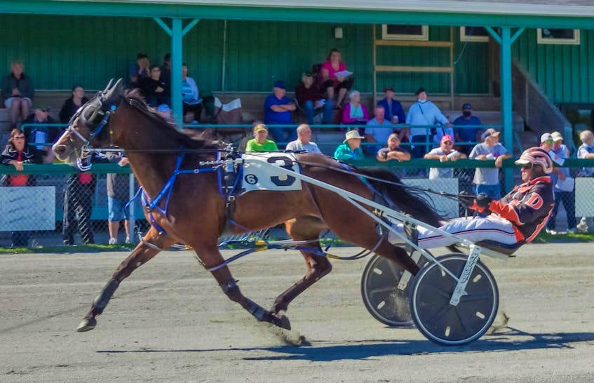 Elm Grove Penelope and driver Redmond Doucet of Inverness were winners in the Atlantic Sire Stakes three-year-old pacing fillies 'B' Division in 2:00.3 on Saturday at Northside Downs in North Sydney. CONTRIBUTED • TANYA ROMEO