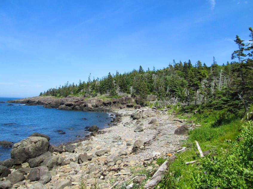 Riley's Cove in Digby Neck. A lifeboat from the SS Robert G. Cann came ashore in Riley's Cove. Of those unboard when the lifeboat came ashore, 11 had already died, one was clinging to life and another person had severe frostbite. CONTRIBUTED - Contributed