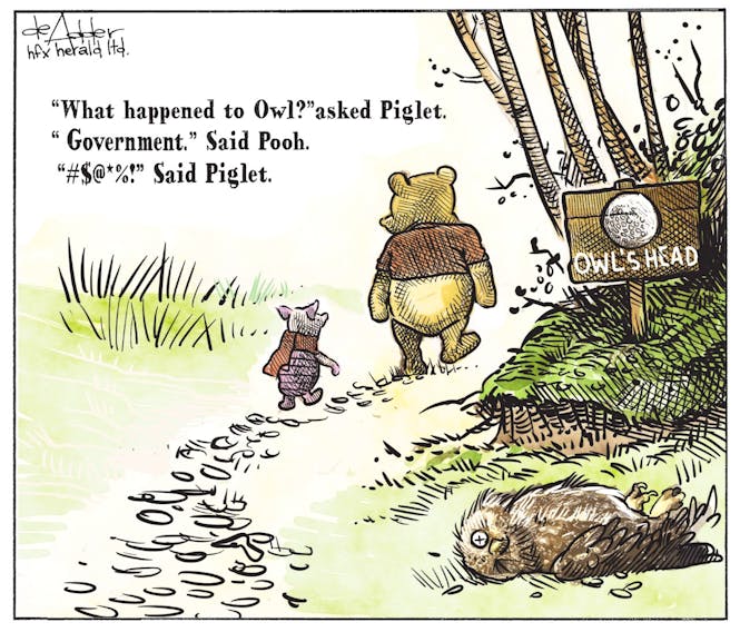 Michael de Adder's editorial cartoon for August 5, 2021. Winnie the Pooh, Owl's Head, provincial park, conservation, protests.