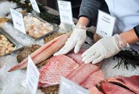 Oceana Canada has completed another report on seafood fraud and says the practice of mislabeling some species is still a problem.