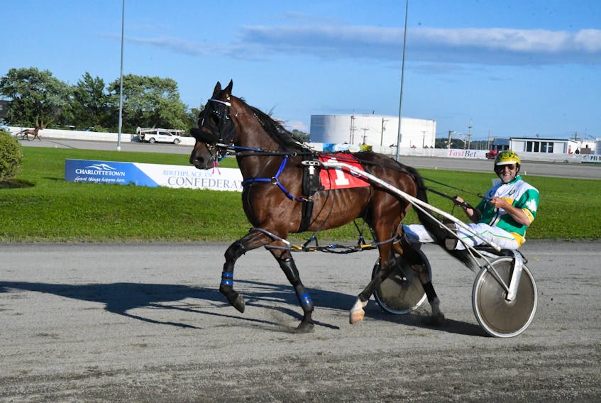 Jimmy Whelan parades a horse at Red Shores Racetrack and Casino at the Charlottetown Driving Park on July 29. Whelan, a major player in harness racing, is back home in P.E.I. for the upcoming Old Home Week meet in Charlottetown.