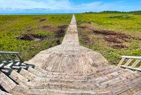 Pamela Atkinson was walking along the Black Marsh Trail in Tignish when she saw ruts in the ground where people had driven through on their ATVs last fall.