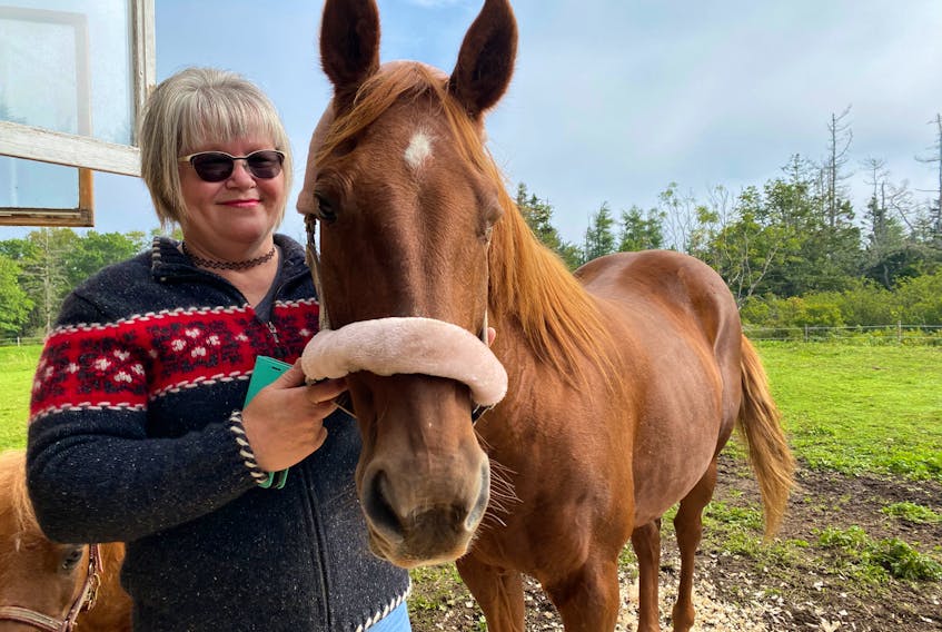Pam Corporon with Ally, the 26-year-old mare she's been reunited with after not having seen her for almost two decades.
CARLA ALLEN • TRI-COUNTY VANGUARD