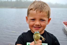 Four year old Jace Nickerson proudly holds up the rare blue/green frog he netted while frog hunting in Beaverdam Lake, Shelburne County on Aug. 21. KATHY JOHNSON