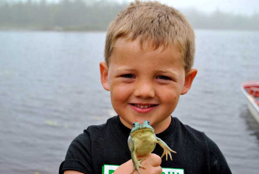 Four year old Jace Nickerson proudly holds up the rare blue/green frog he netted while frog hunting in Beaverdam Lake, Shelburne County on Aug. 21. KATHY JOHNSON
