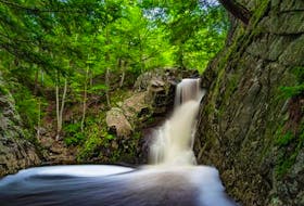 Last week, a good flow from the recent rain from the remnants of Ida created a lot of foam. Barry Burgess decided to use a long exposure to blur the motion of the water and foam. This stunning scene unfolded at Lower Shingle Mill Falls, New Germany, N.S