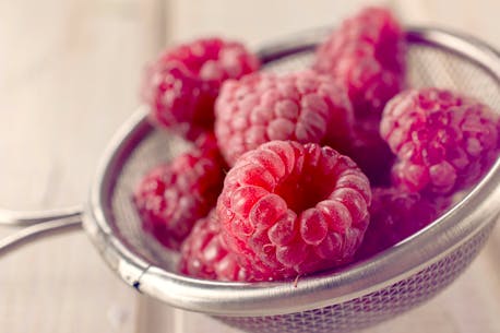 Tasty tradition: The 'incredibly important' role raspberries played for early Newfoundlanders