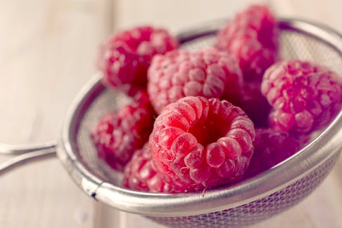 Raspberries, and other berries, played a key role to early settlers from Europe. Often, berries were the only fresh fruit available. - Storyblocks