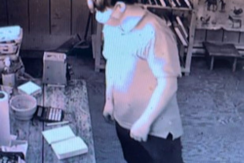Kings District RCMP is searching for a suspect in connection with several mischief and theft incidents in the Gaspereau Valley area. Police described the suspect as having dark hair and can be seen on video surveillance wearing a light-coloured collard shirt and dark pants.