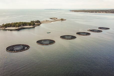 BRIAN MULDOON: Nova Scotians, push for B.C.-style move toward land-based fish farms