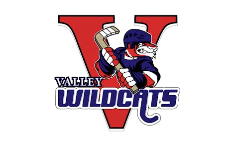 Landry scores winner as Valley Wildcats defeat South Shore Lumberjacks
