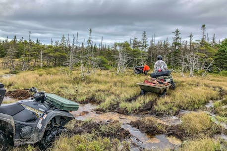 PAUL SMITH: Waiting for cooler weather to go moose hunting in Newfoundland