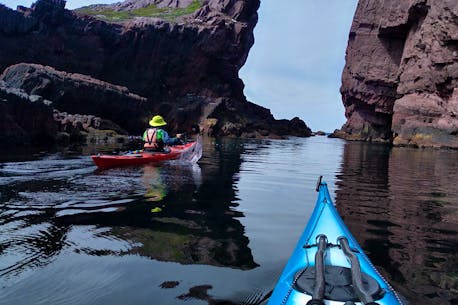 'Perfect fit': How the pandemic created a new love of kayaking in Newfoundland