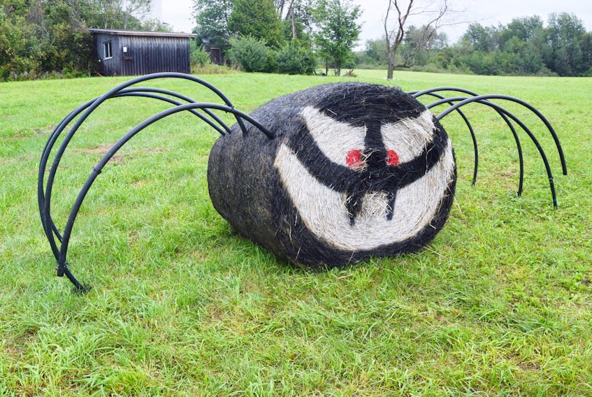 A spider is the latest addition to the hay bale art in Durham.