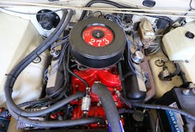 For engine control vacuum problems, the symptoms can include stalling, rough or varying idle, lack of power, difficulty in starting, engine miss, and others. Fred Bottcher/Postmedia News