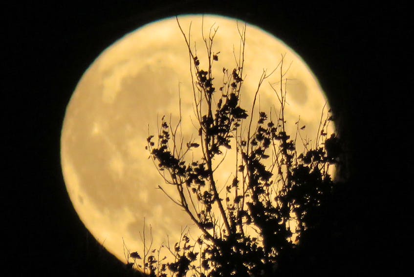 Corinne Reid snapped this gorgeous photo just over two years ago. The September full moon in 2019 was also a Summer Harvest Moon.