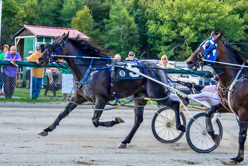 Johnnie Jack, number five, captured the afternoon feature race at Northside Downs on Saturday in a time of 1:56.4 over Southwind Ricardo. Above, winning driver Ryan Campbell is obscured by the head of the second place horse as he earned his fifth driving win of the afternoon. TANYA ROMEO PHOTO