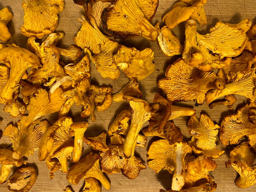 Chanterelle’s have an interesting flavour — everything from earthy, fruity and black pepper. How’s that for a flavour combo?  - Erin Sulley