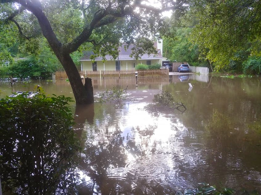 This is the view from Carmel Albert’s front porch at her home in Slidell, La. The flood waters have turned into a cesspool of snakes, insects and even the occasional gator. CONTRIBUTED/ A.J. ALBERT