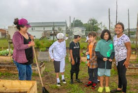 From left, Amanda Christmas looks on as neighbourhood children Jayce MacDonald, Bronson Stevens, Elias Paul, Robert Paul, Kashius Paul and August Christmas help at the community garden. The group was attending a barbecue in honour of the Membertou First Nation's community gardening project at the Wally Bernard Memorial Seniors Centre in Membertou. JESSICA SMITH/CAPE BRETON POST