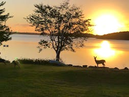 Judy Doyle sent this photo of deer visiting her property on Cape Breton’s Mira River on Monday morning. She said deer are frequent visitors to the area and yesterday she counted as many as seven walking along the river near her home. The deer silhouetted against the morning sun are a beautiful sight.