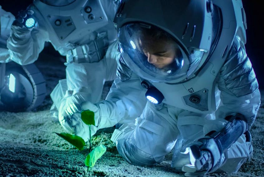 A lunar night is about minus 200 degrees Celsius and lasts for two weeks, which is challenging for plants to survive, says Dr. Thomas Graham. (Artistic interpretation of astronaut tending to a plant.)