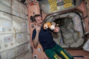  After the Soyuz TMA-08M spacecraft delivered cargo to Expedition 35, CSA astronaut Chris Hadfield got the chance to dig into a fresh blood red orange, a rare occasion while in orbit.