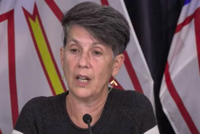 Acting chief medical officer of health Dr. Rosann Seviour updates reporters Wednesday on an outbreak in the community of Baie Verte. (Image from YouTube)