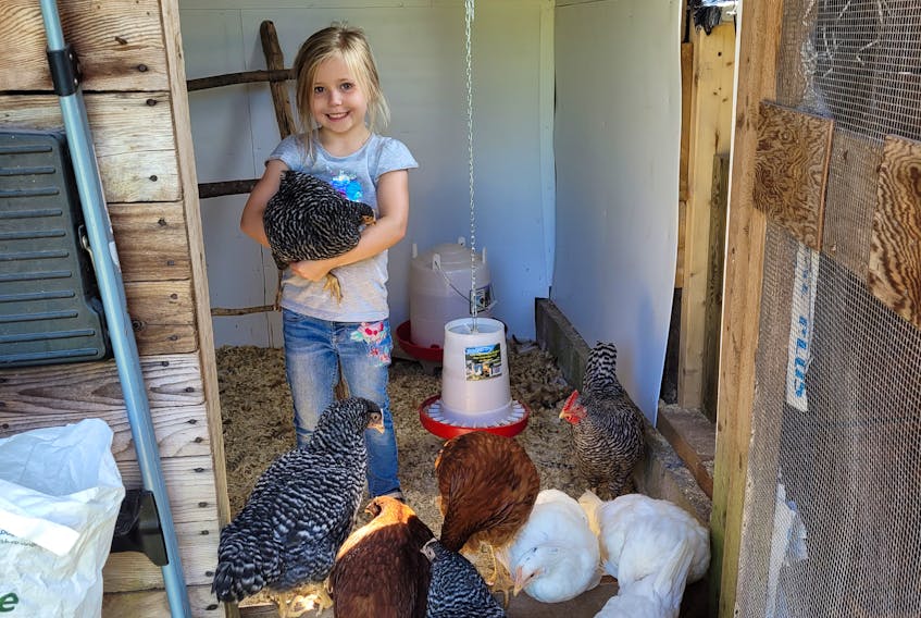 Faith Rouse and her parents, Kari and Matt, are enjoying learning to raise chickens on their homestead in Port Royal. 