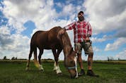 Shane Mutlow and his therapy horse, Ginger.