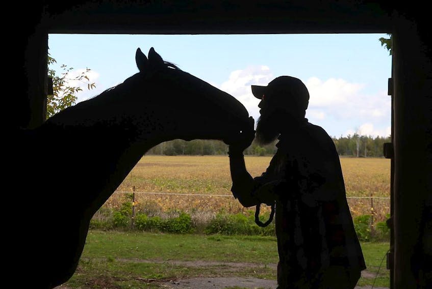  Shane Mutlow and his therapy horse, Ginger, spend some time together last Friday.