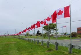Along Stable Street near Open Hearth Park, 128 full-sized Canadian flags fly, representing the 128,000 Canadian military and RCMP killed and missing in action, service personnel lost in service from the Boer War to current missions. The flag display pays tribute to the men and women of the Canadian Armed Forces. IAN NATHANSON • CAPE BRETON POST