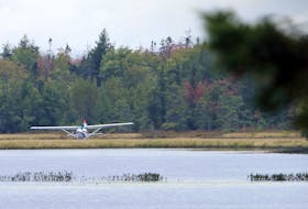 No one was injured after a pilot had to make an emergency landing in Turf Lake, near the Stanfield International Airport Tuesday afternoon. The pilot says the engine of the Cessna 205 float plane died as he was close to the approach to the airport.