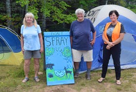 Joan Norris, Nina Newington and Janet McLeod are three of the protesters who have been occupying private land next to sites set to be sprayed with glyphosate-based herbicides.
