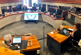 Municipal governments across Newfoundland and Labrador will have plenty of common issues to address after the 2021 elections.