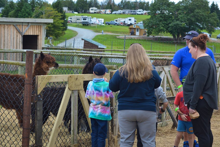 For kids, adults and familiies, the Two Rivers Wildlife Park's petting zoo offered plenty of its own live animal entertainment. — IAN NATHANSON