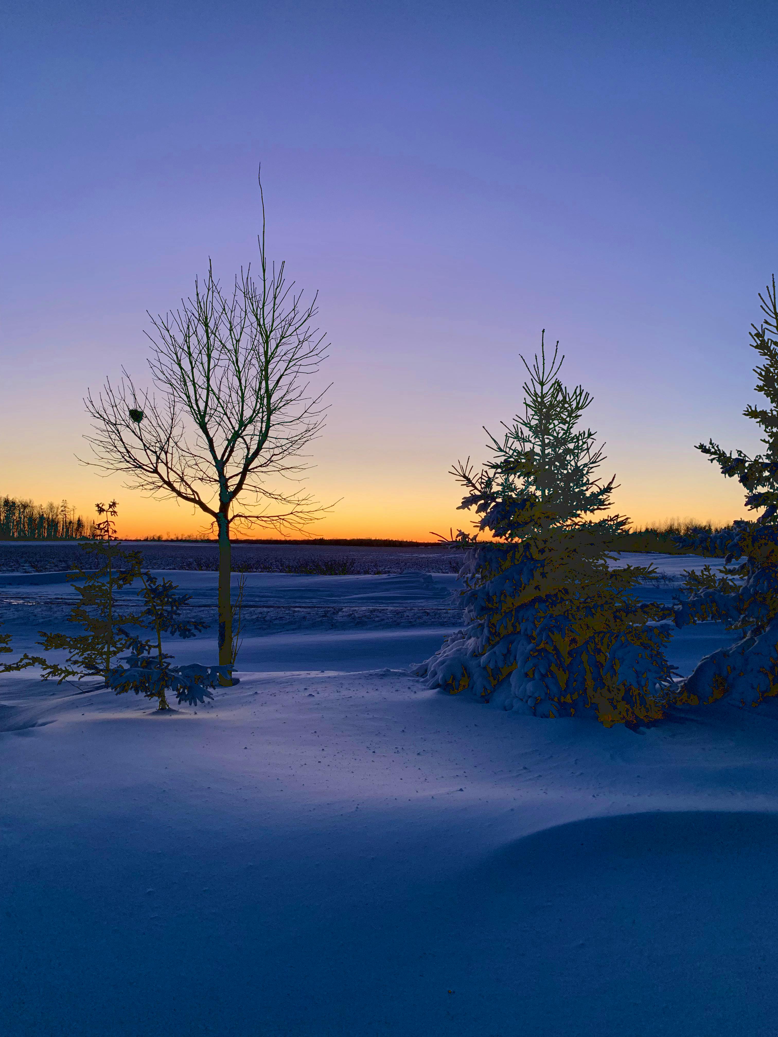 Love it or hate it, winter can create some specular scenes here in Atlantic Canada. This photo was taken by Spencer Deagle in Mount Royal, P.E.I., after the first snowstorm of 2022. The golden hour hues of the low horizon sun accent the freshly fallen snow on the trees and ground. I hope this photo adds some warmth to your Tuesday. Thank you for the photo, Spencer. 

Send me your storm photos for a chance to be featured: weather@saltwire.com.
